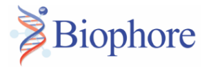 Biophore India Pharmaceuticals Pvt Ltd